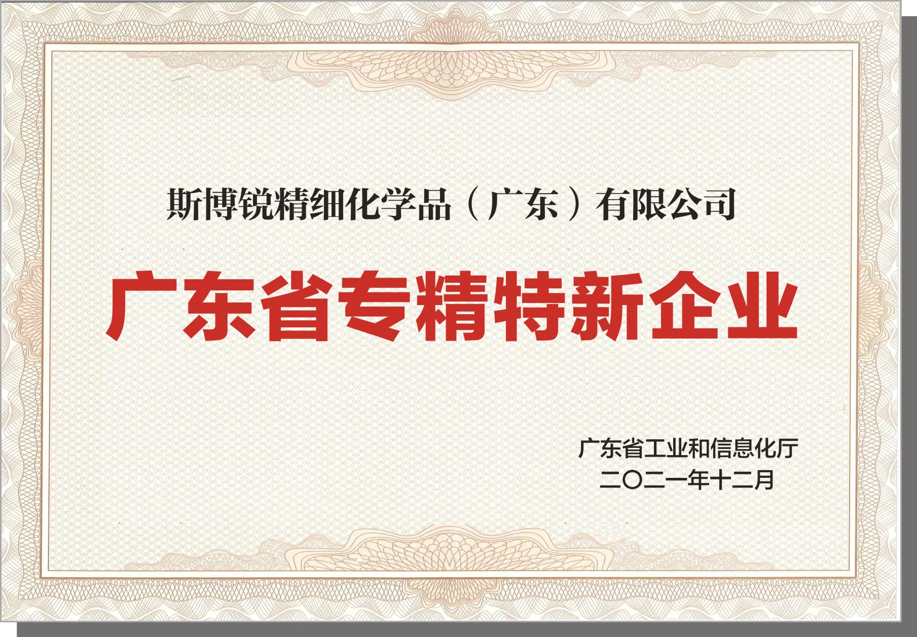 專精特新企業(yè).jpg